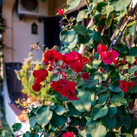 4 Bedroom In Olhao *